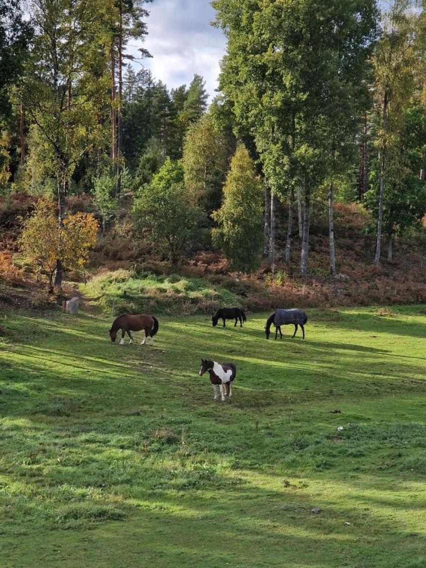 Höhällets Lantliga Rum Värnamo Exterior foto